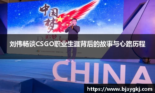 球速体育