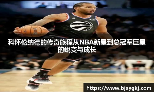 球速体育