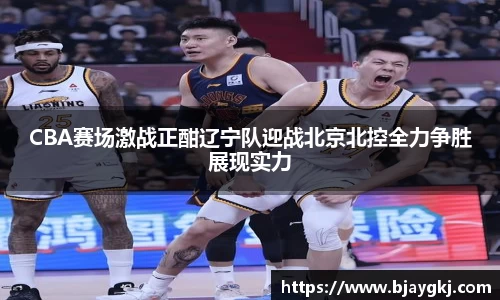 球速体育平台入口
